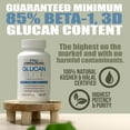 thumbnail image 4 of Glucan Elite – 85% Beta 1,3D Glucan 500mg | 85% Minimum Active 1,3 Linkage Ultra-Potency Beta Glucan – Highest Bioavailability with BGF-Immune | Pack of 3 (180 total veggie caps), 4 of 6