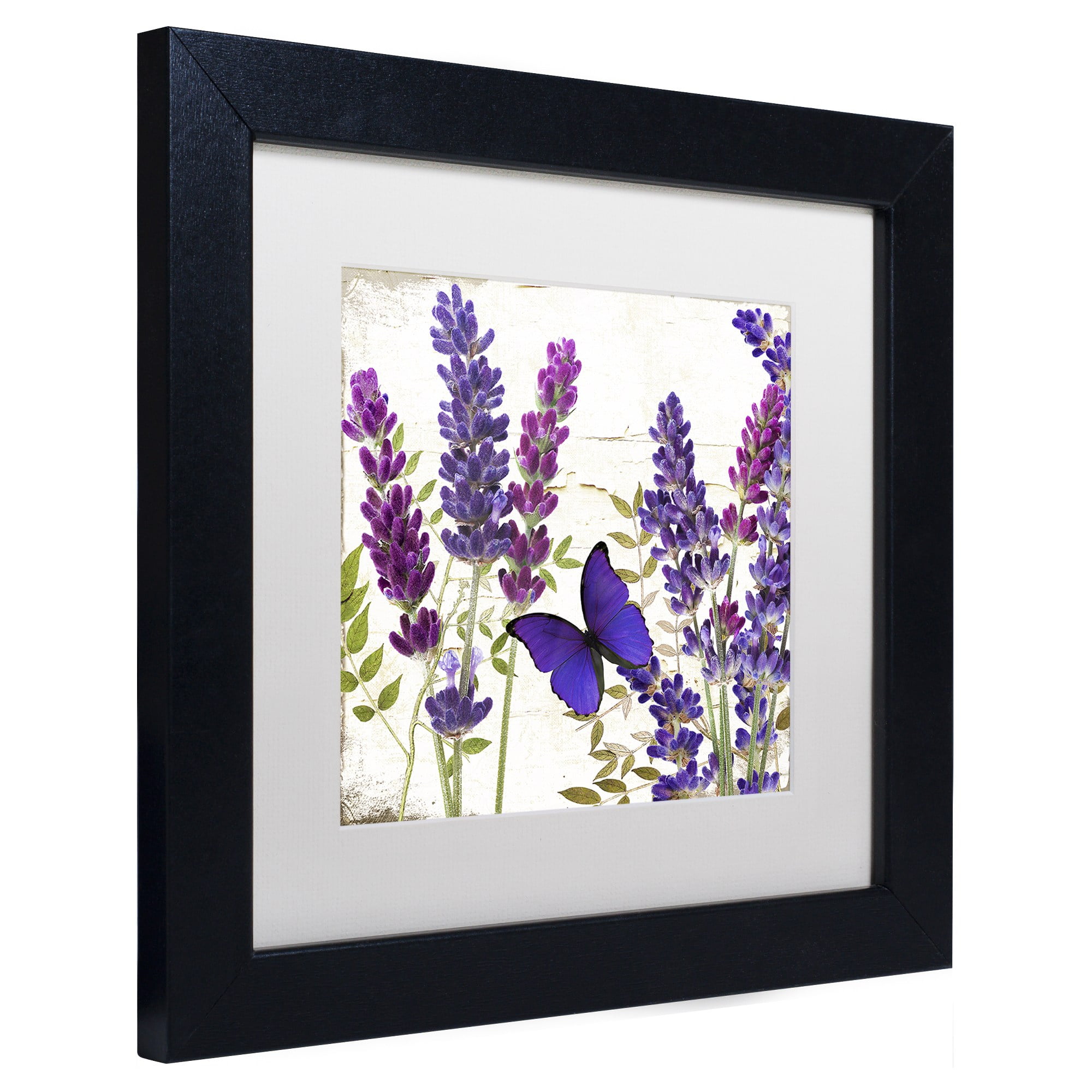 Trademark Fine Art "Lavender I" Canvas Art by Color Bakery, White Matte, Black Frame