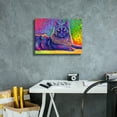 thumbnail image 6 of Epic Graffiti 'Psychedelic Rainbow Black Cat' by Rebecca Wang Art, Acrylic Glass Wall Art, 16"x12", 6 of 8
