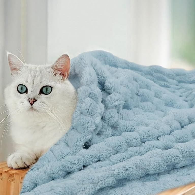 Fuzzy cat blanket cheap