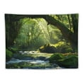 thumbnail image 6 of BCIIG  Waterfall Tapestry Nature, Green Forest Tapestry Wall Hanging Outdoor Landscape Calming Scenery Large Wall Mural Tapestries for Bedroom Living Room Natural Office Backdrop  60x40inch, 6 of 7