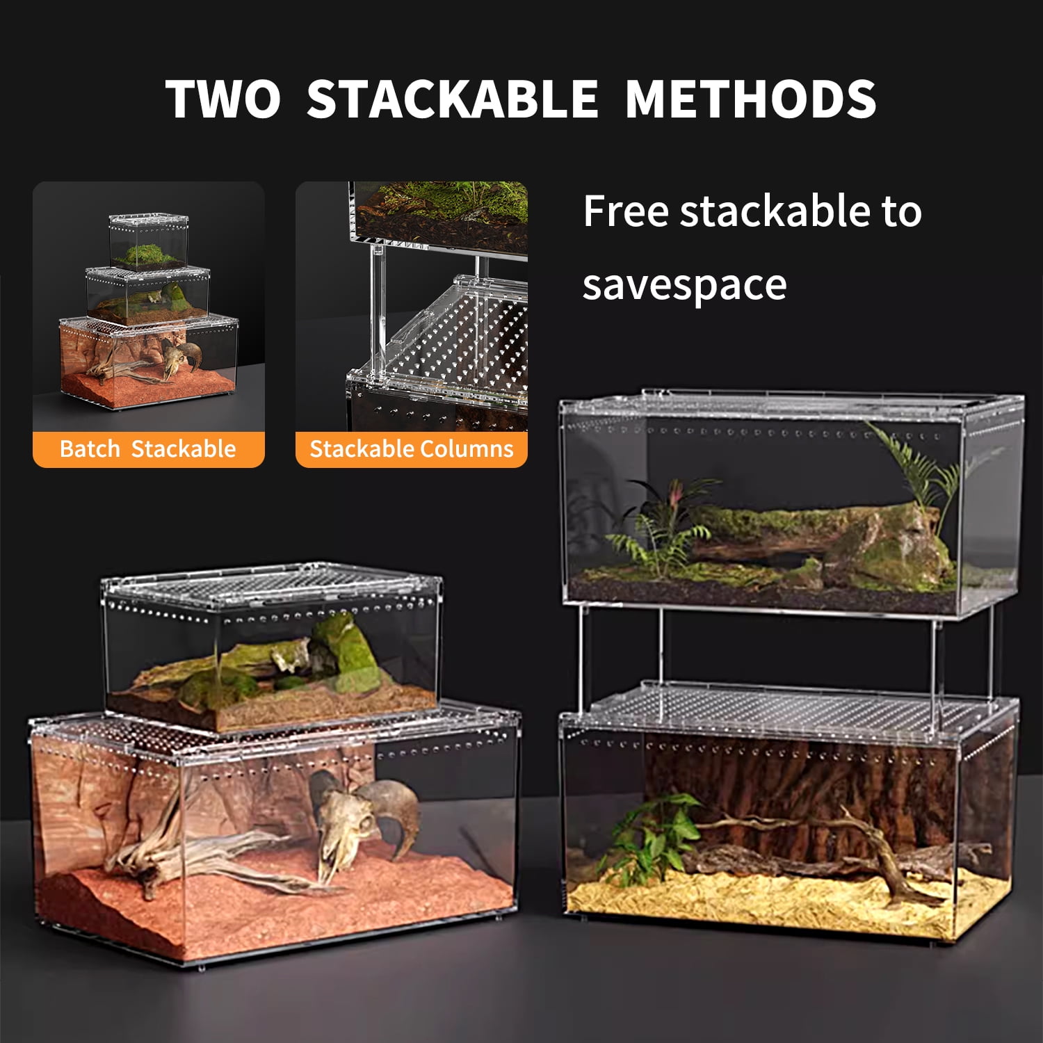 Reptile Terrarium 16" x 10" x 8"， for Insect,Fish,Tarantula,Hermit Crab,Jumping Spider