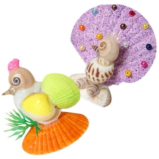 2Pcs Sea Shells for Decorating Shells Zodiac Decoration Sea Shell Ornaments  Shell Decoration (Random Style) 
