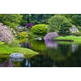 thumbnail image 2 of Rotenberg, Nancy 14x11 White Modern Wood Framed Museum Art Print Titled - Maine, Northeast Harbor Green garden Scenic, 2 of 4