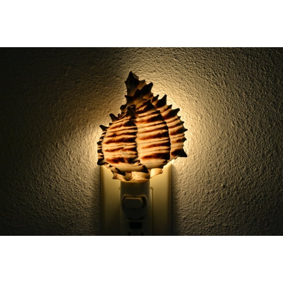 Black Murex Sea Shell Nightlight
