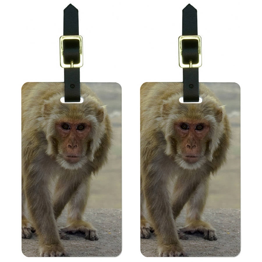 Monkey Luggage Tags Suitcase CarryOn ID, Set of 2