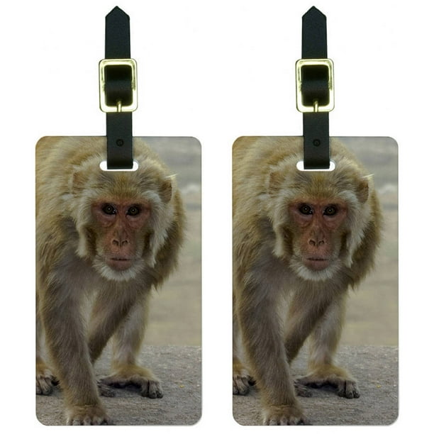 Monkey Luggage Tags Suitcase CarryOn ID, Set of 2