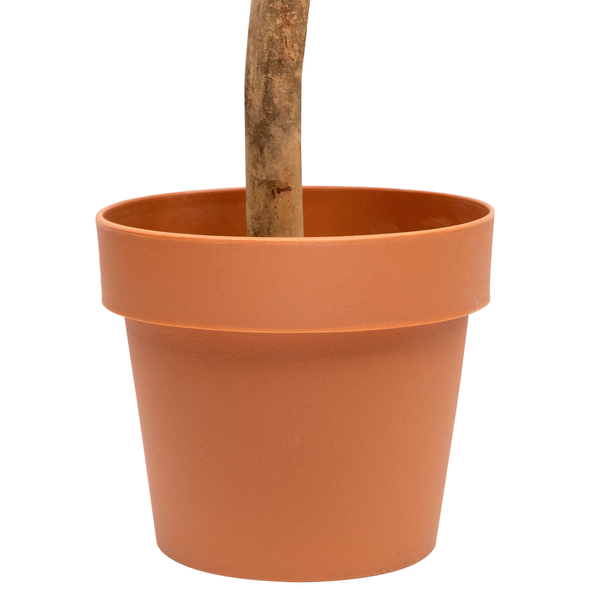 Northlight 4.6’ Unlit Artificial Potted Two-Tone Boxwood Double Ball Topiary Tree