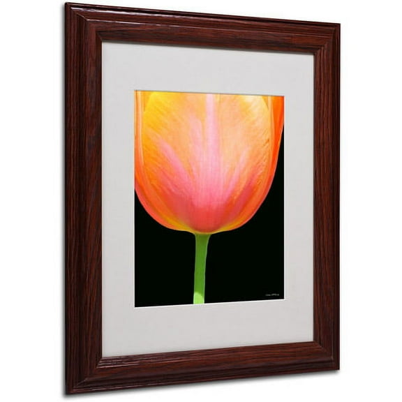 Trademark Fine Art "Orange Tulip" Canvas Art by Kathie McCurdy, Wood Frame