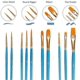 thumbnail image 2 of 10PCS Artist Paint Brushes Set Multifunctional Nylon Paint Brushes,Art Painting Supplies, 2 of 5