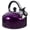 Purple, variant on Howish tea kettle Stainless Steel Whistling Tea Kettle with Handle - 3QT(7.28"X7.28"X7.48")