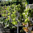 thumbnail image 5 of Flower Herb Self Watering Stacking Planting Pot Single Layer Tower Plastic Stackable Vertical Gardening Strawberry Planter, 5 of 5