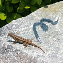 Hemoton Bearded Dragon Climbing Rope Reptile Tank Toy Multi-Functional Swing Reptile Hermit Crabs Climbing Rope Swing Toy Reptile Tank Decoration Hermit Crab Toy