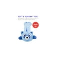 thumbnail image 4 of Charming Pet Longidudes Raccoon Plush Dog Tug Toy, Blue, One-Size, 4 of 8