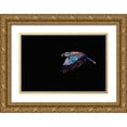 thumbnail image 1 of Chang, Phillip 14x11 Gold Ornate Wood Framed with Double Matting Museum Art Print Titled - The Roller hunting, 1 of 4