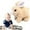 Apricot, variant on Bunny Stuffed Animal for Kids,Bunnies Can Walk and Talk Easter Plush Stuffed Bunny Toy Rabbit Educational Interactive Toys for Kids,Hopping Wiggle Ears Nose