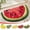 A, variant on Yyuenw Bath Rug, Fruit Bath Mat Lovely Bathroom Carpet Especially Absorbent Very Soft And Dry Fast In Children's Room Bathroom Or Other Room, Home Decor