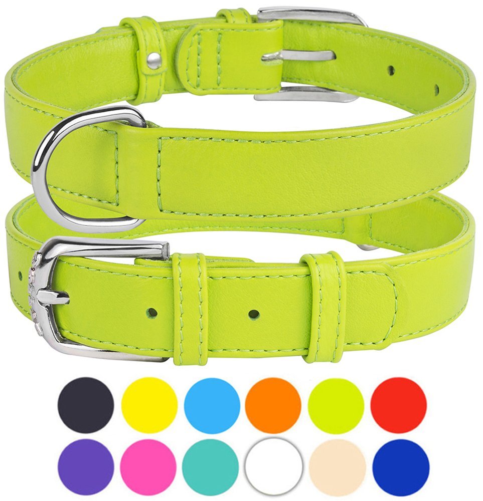 Leather Dog Collar Puppy Collars for Small Dogs Soft Padded, Lime Green