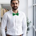 thumbnail image 4 of WHAMVOX 2Pcs Glitter Bows Pre-tied Bowtie Green for Formal Banquet Children, 4 of 8