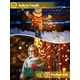 thumbnail image 3 of Guirnalda de luces solares EEW 400 LED, paquete de 4 unidades, impermeables, 8 modos, 3 of 6