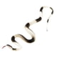 thumbnail image 1 of Juguete de Travesura de Serpiente Hugo De Goma Halloween, 1 of 7