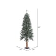 thumbnail image 3 of Vickerman 5' Natural Bark Alpine Artificial Christmas Tree Unlit, 3 of 3