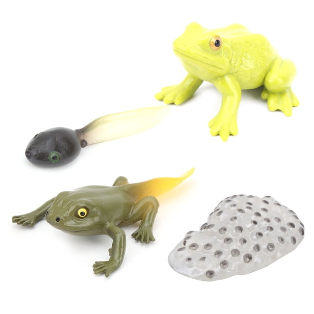 Modelo de ciclo de vida, modelo de simulación de ciclo de crecimiento de animales, modelo de animal de juguete, modo de ciclo de crecimiento de animales, acabado de lujo