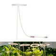 thumbnail image 2 of Luces LED para Plantas de Interior Shamjiam Temporizador 8/12/16H 1 cabeza, 2 of 7