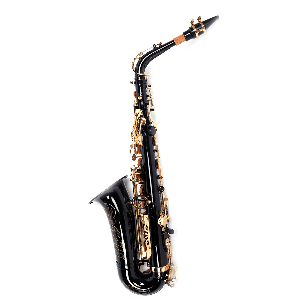 Tcbosik Eb Saxophone for Beginners with Box, Strap, Lubricants, Gloves and Cleaning Kit, Black