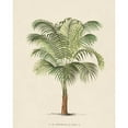 thumbnail image 3 of Unknown 12x14 Black Modern Framed Museum Art Print Titled - Les Palmiers II, 3 of 5