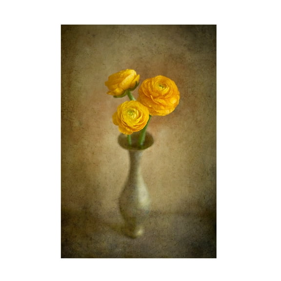 Canvas Wall Art - Igor Tokarev 'Yellow Buttercups' Wall Art for Living Room, Bedroom, or Office D?cor by Trademark Fine Art - 12 x 19 Inches
