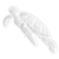 thumbnail image 6 of WHAMVOX  Silicone Mold for Crafts Animals Statue Making Sea Turtle Molds, 6 of 8