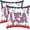 Multi 28, variant on Square Throw Pillow Covers 18x18 inch Love American Flag July 4th Firework Stars Independence Day Pillow Cases for Couch Sofa Bed Home Decor Outdoor, Set of 2