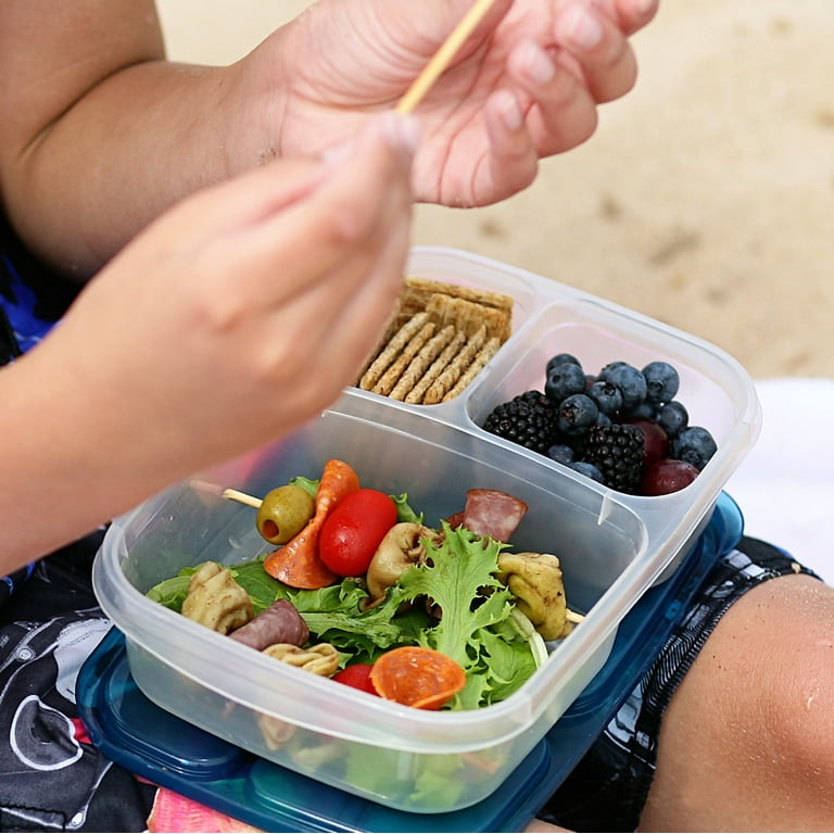 Easylunchboxes - Bento Snack Boxes - Reusable 4-Compartment Food Containers for School, Work and Travel, Set of 4, (Jewel Brights)