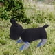 thumbnail image 5 of Kuymtek Zapatos para Pet Paw Protector Boot Puppy Antideslizantes (Azul Oscuro XL), 5 of 9