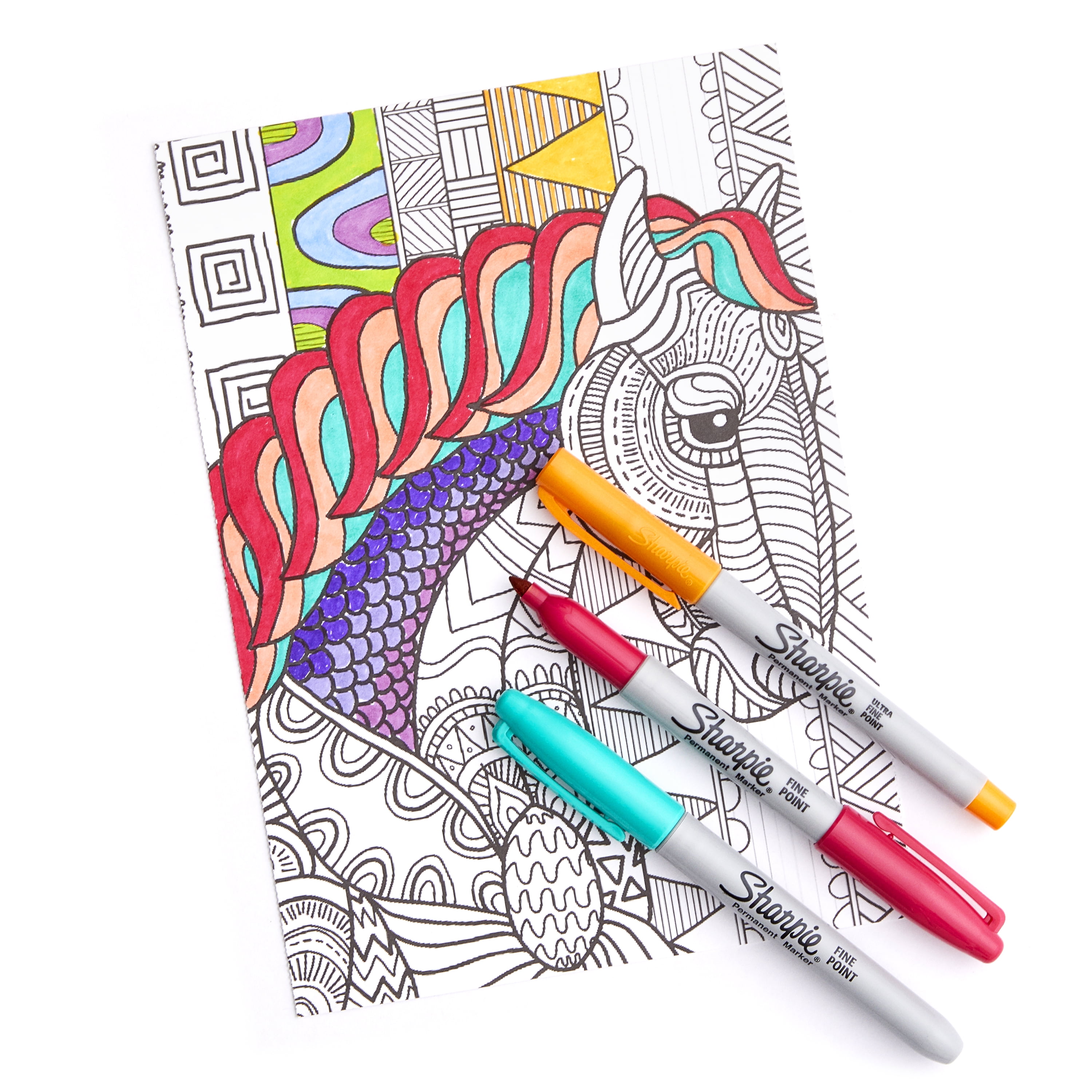 Sharpie Special Edition Color Kit 10 Fine 10 Ultra Fine Markers Coloring  Book