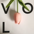thumbnail image 3 of Ramo de arreglo de flores artificiales de tacto Real de tulipanes falsos de PU para decoración de boda en el hogar, oficina, 10 Uds., 3 of 5