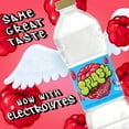 Splash Blast, Raspberry Flavor Water Beverage, 16.9 Fl Oz Plastic