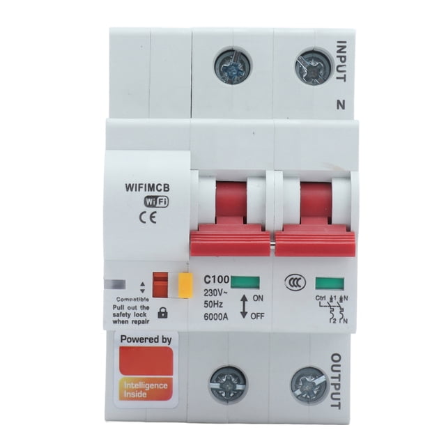 Disyuntor inteligente 2P WiFi Bluetooth aplicación Control remoto interruptor protección contra sobrecorriente AC220V100A