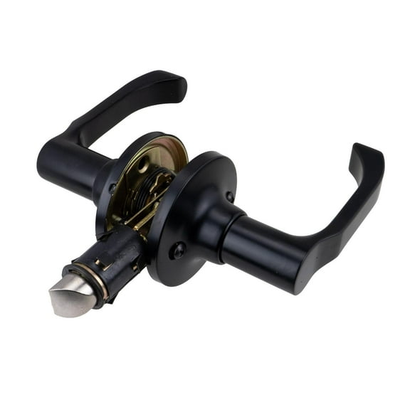 Global Link RV Interior Non-Locking Lever Set, Matte Black