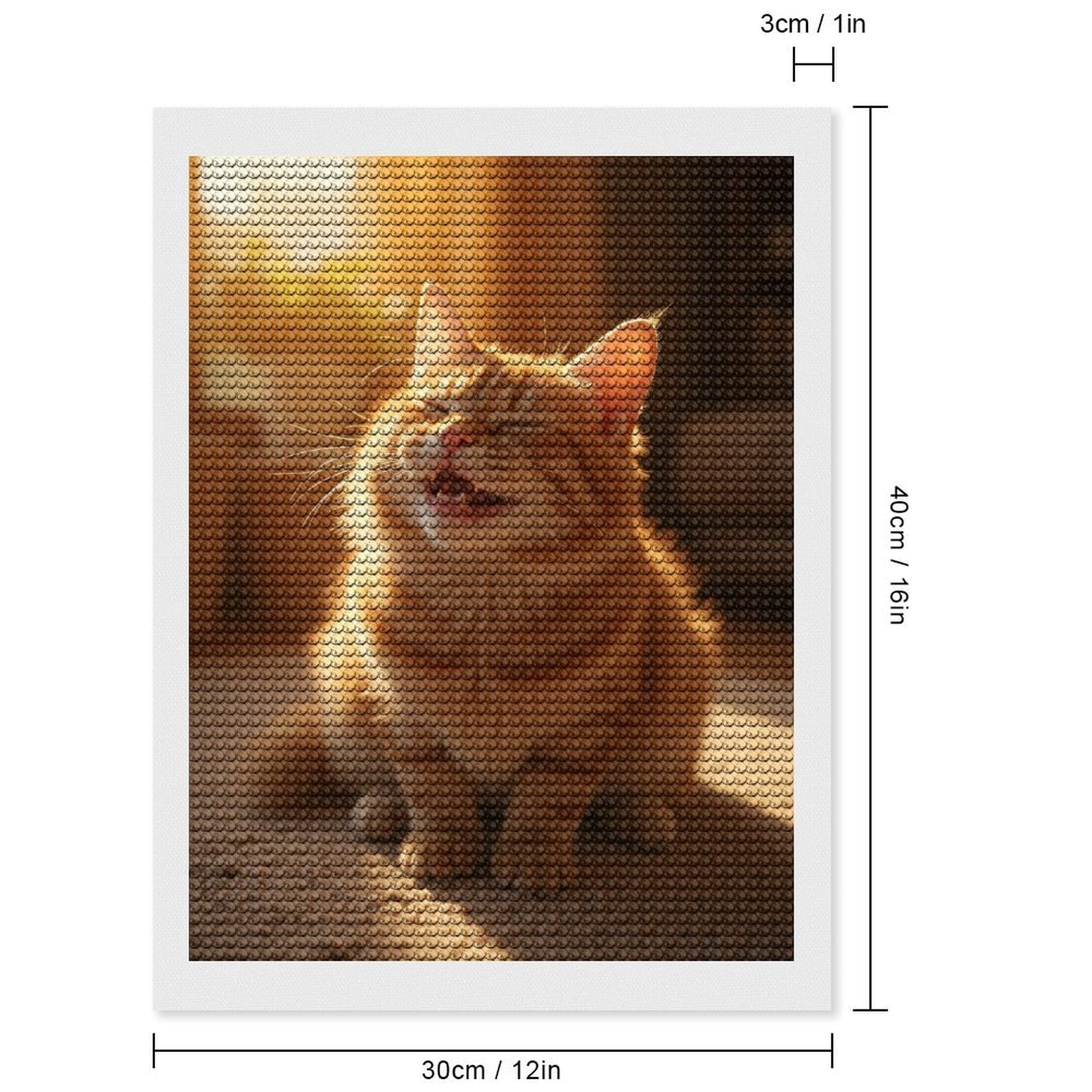 Diamond Art Kits for Adults, Smiling Cat In Sunlit Room 5D Diamond Painting Kits for Adults Beginners, DIY Full Drill Diamond Painting, Gem Art and Crafts 12x16