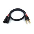 thumbnail image 1 of Cable Suanqi TRS macho a XLR macho de 6,35 mm, 3 pines, 60 cm, 1 of 4