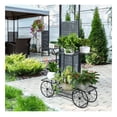 thumbnail image 3 of 6-Tier Garden Cart Flower Rack, Metal Plant Stand Display Shelf for Indoor Outdoor Use, Vertical Pot Holder Decor, Parisian Style Trolley, Black, 3 of 9