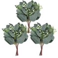 thumbnail image 1 of Plantas de eucalipto artificial 12 piezas Simulación Eucalipto verde Hojas Ramas Dinero Dólar Eucalipto a granel para bodas, jardín, hogar, oficina, decoración, 1 of 2