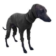 thumbnail image 1 of Pet Clothes Dog Greyhound Jumper Sweater Winter Protective Apparel, 1 of 1