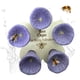 thumbnail image 5 of Alimentador para Abejas 5 Uds Hugtrwg Suministros Apicultura Soporte, 5 of 9
