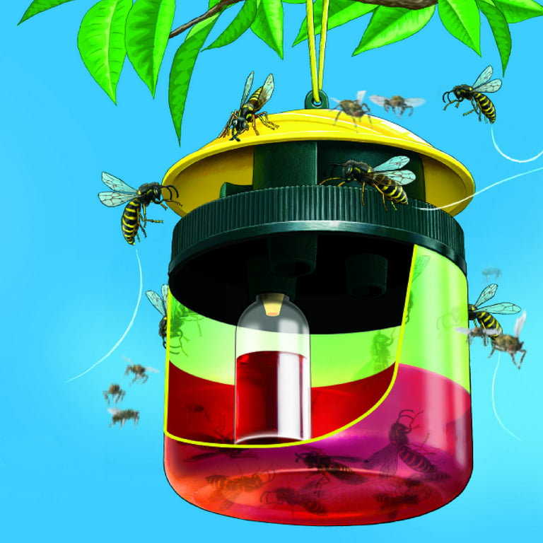 TERRO Outdoor Reusable Wasp and Fly Plus Fruit Fly Trap