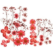 KEINXS 1 Bag Of Dried Flowers UV Resin Decorative Natural Flower Stickers 3D Dry Beauty Stickers Epoxy Mold DIY Filling Jewelry