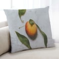 thumbnail image 1 of Ahgly Company Coussin Décoratif d'Intérieur Pêche, 18 Po X 18 Po, 1 of 6