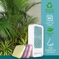 thumbnail image 5 of Fresh Products myfreshe Plug-in Air Freshener, Worry-free No Heat, No Glass, Dry Fragrance Refills, Made in the USA - Alpine Forest 2 pack, 5 of 7